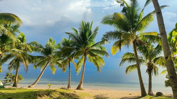 Quels sont les meilleurs spots pour faire du kayak de mer aux îles Canaries?